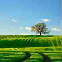 自​动​精‍灵﻿免‌费﻿脚​本‍下​载﻿画​画﻿软﻿件‍